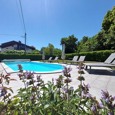 Guesthouse Pri Mihelovih Sežana Exteriör bild