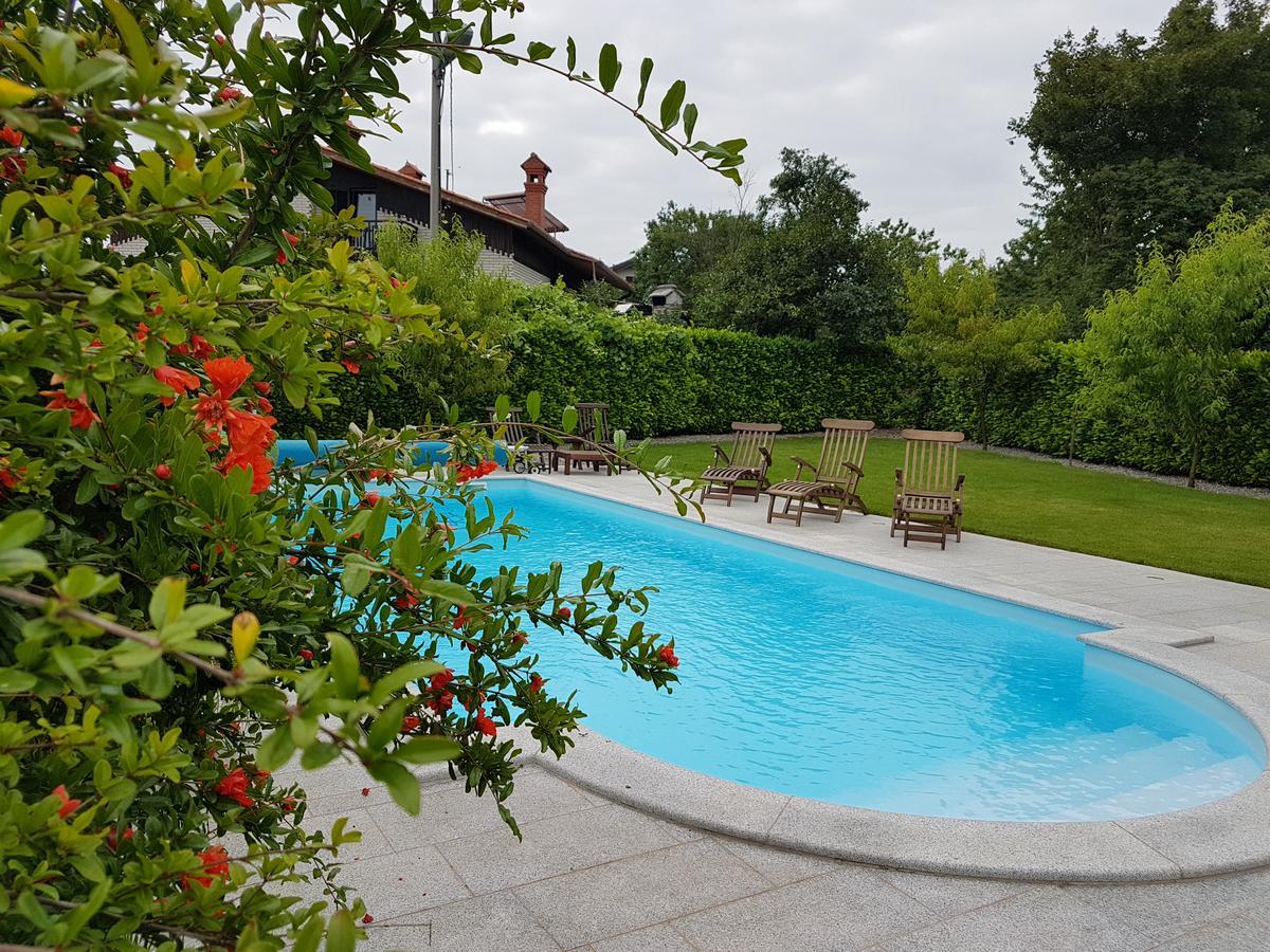 Guesthouse Pri Mihelovih Sežana Exteriör bild
