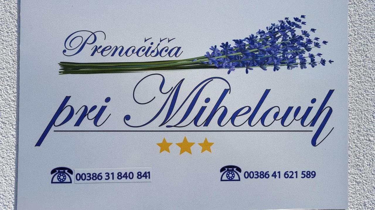 Guesthouse Pri Mihelovih Sežana Exteriör bild